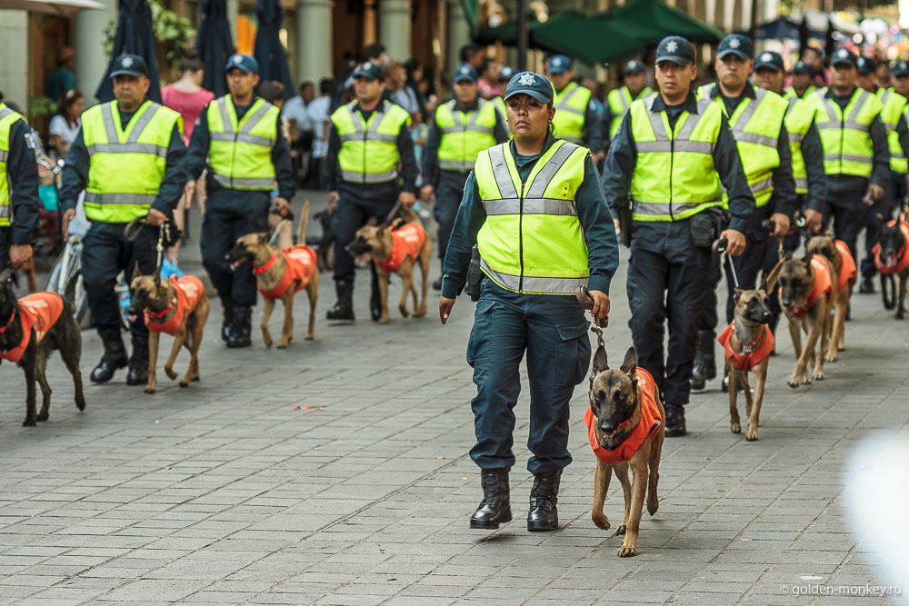 Оахака, люди Оахака, люди