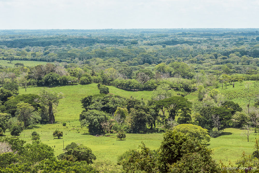 Паленке, панорама долины  Паленке, панорама долины