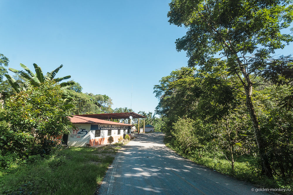 Паленке, дорога к водопадам Агуа-Асуль Паленке, дорога к водопадам Агуа-Асуль