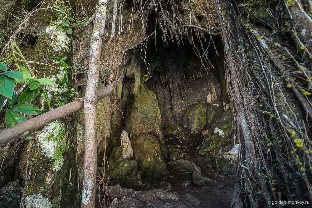 Паленке, парк Агуа-Асуль, пещера Летучих мышей Паленке, парк Агуа-Асуль, пещера Летучих мышей