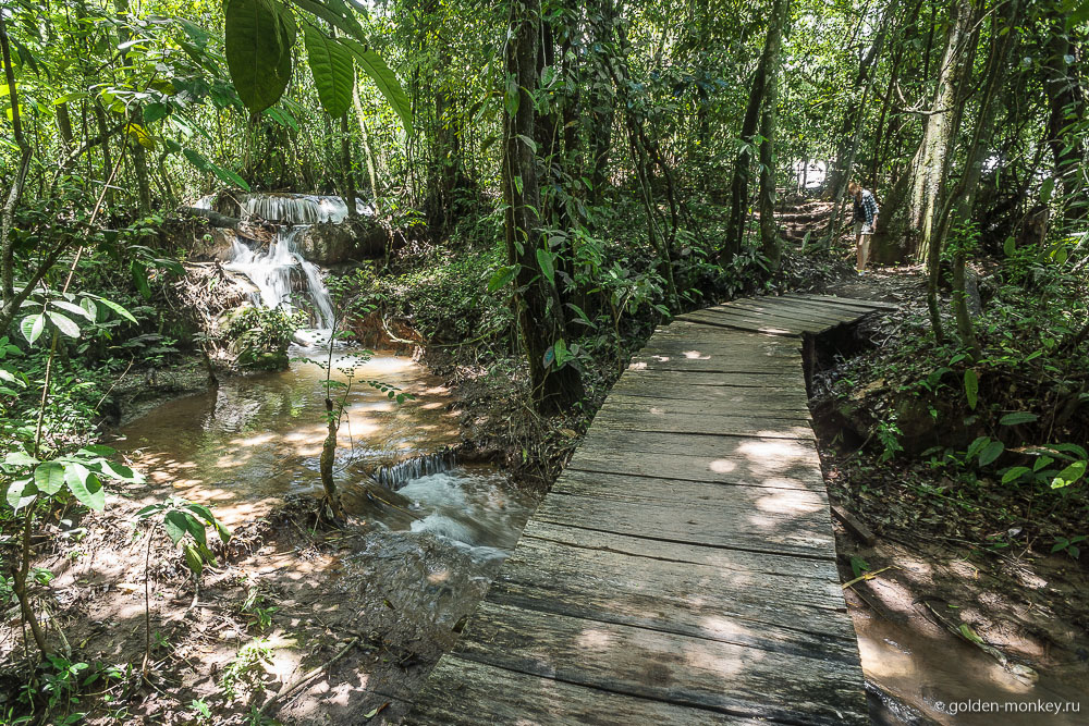 Паленке, деревянный мостик в парке Агуа-Асуль Паленке, деревянный мостик в парке Агуа-Асуль