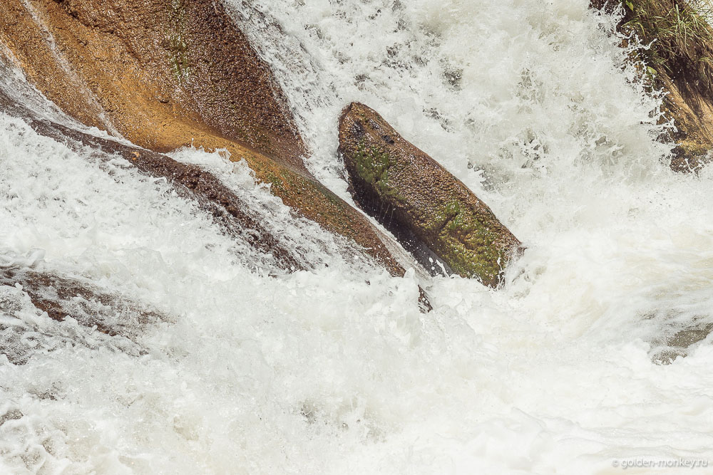 Паленке, камень-язык Паленке, камень-язык