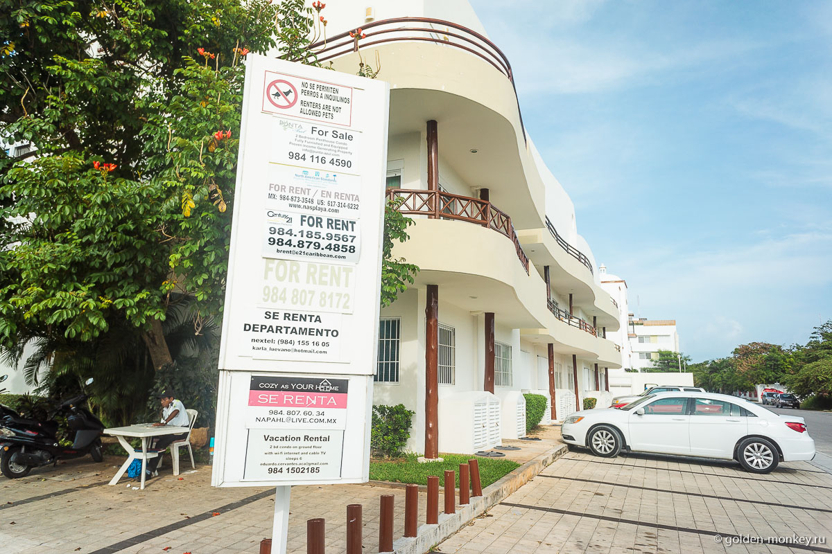 Плайя-дель-Кармен, объявление о сдаче жилья в аренду Плайя-дель-Кармен, объявление о сдаче жилья в аренду