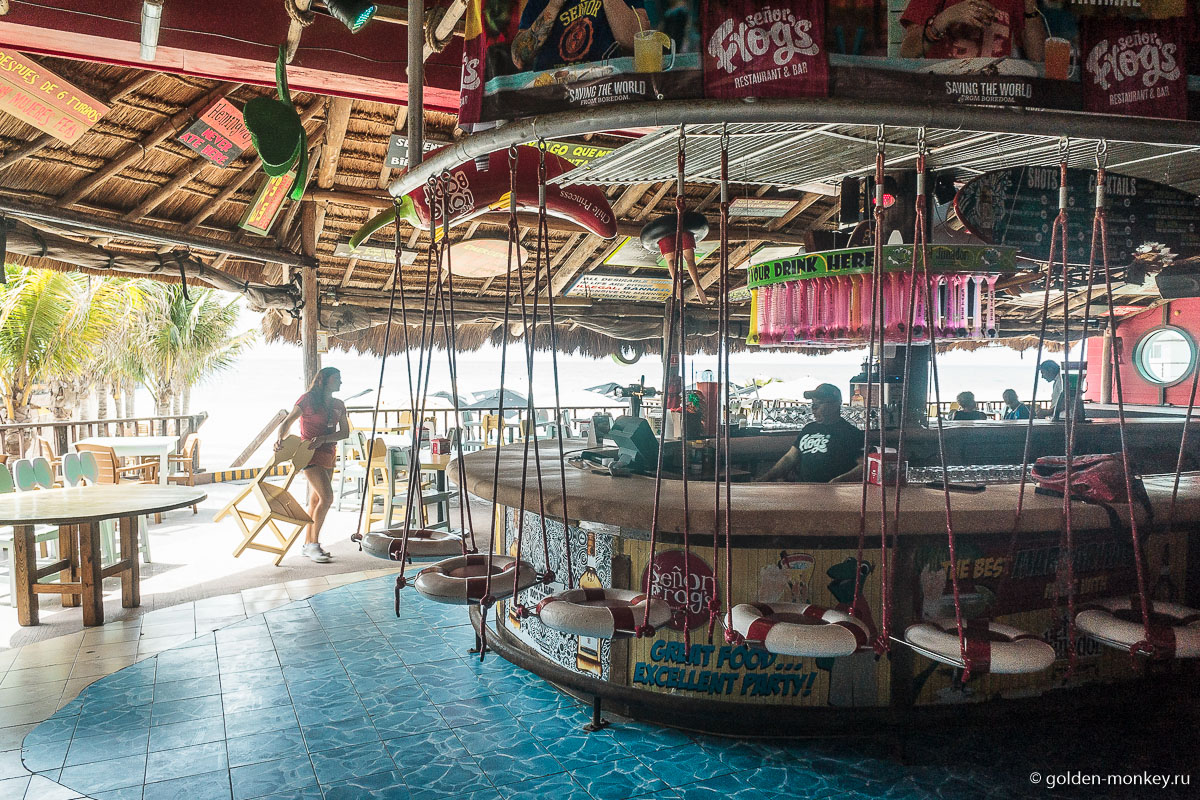 Плайя-дель-Кармен, ресторан Сеньор Фрогз Плайя-дель-Кармен, ресторан Сеньор Фрогз