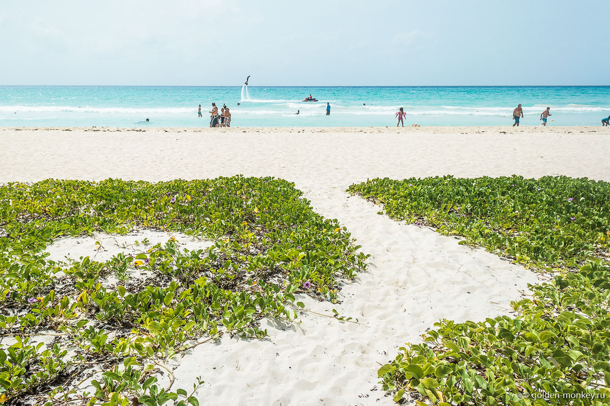 Плайя-дель-Кармен, пляжи за пирсом Плайя-дель-Кармен, пляжи за пирсом
