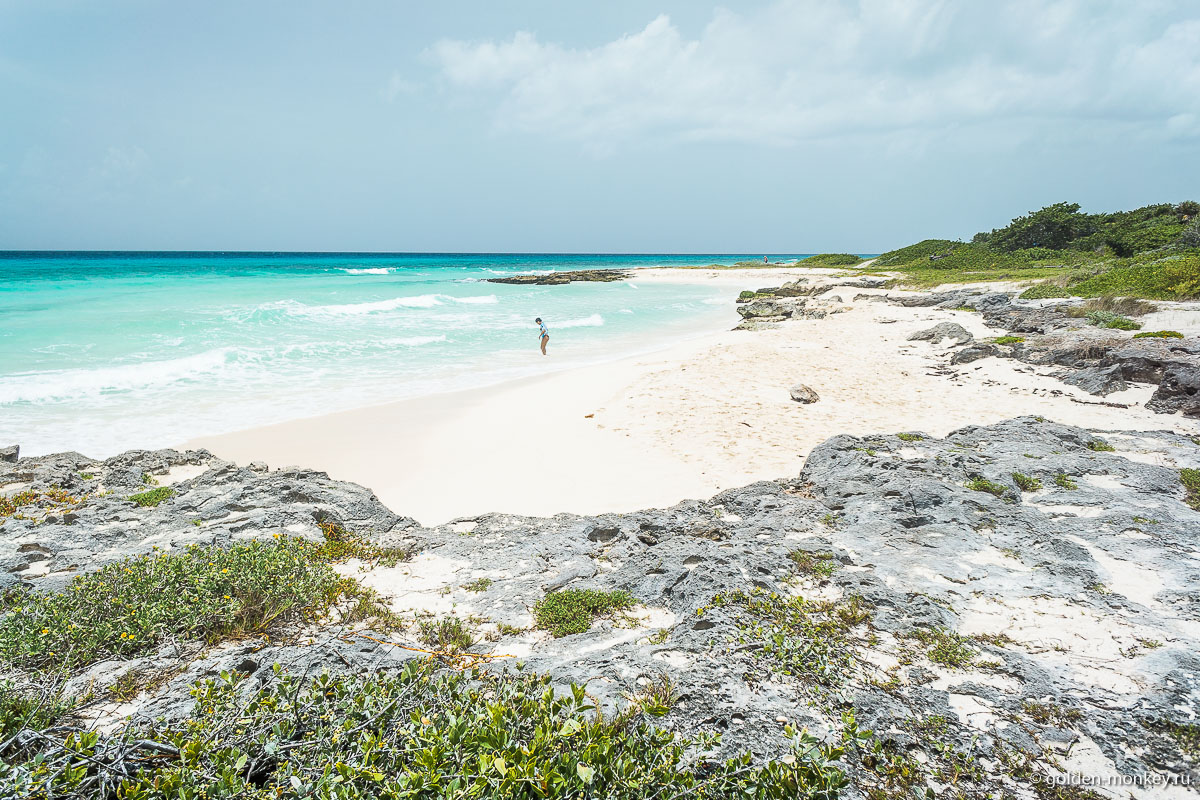 Плайя-дель-Кармен, мертвый риф на берегу Карибского моря Плайя-дель-Кармен, мертвый риф на берегу Карибского моря