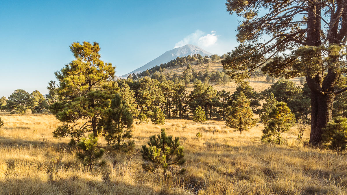 Неподалеку от Пасо де Кортес