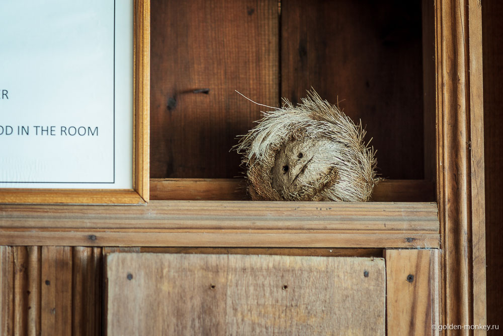 Масунте, отель Posada Ziga Масунте, отель