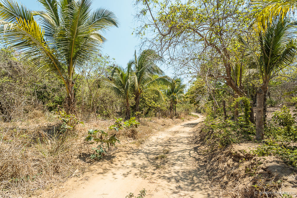 тропинка тропинка