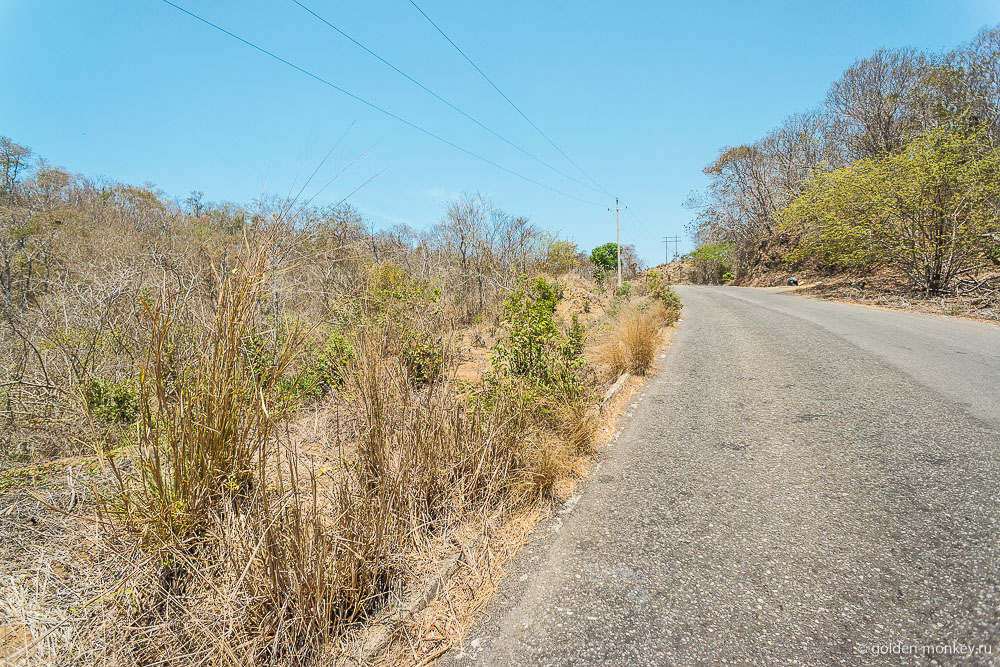 дорога дорога