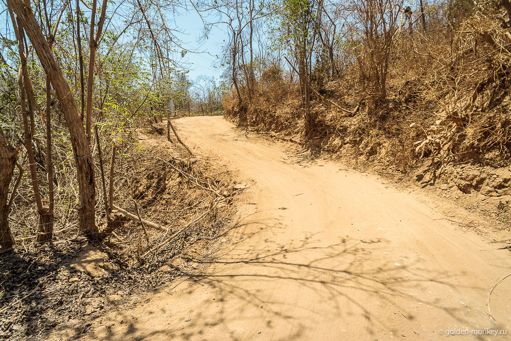 тропинка тропинка