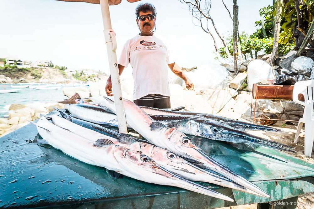 Пуэрто-Эскондидо, пляж Пуэрто-Анхелито, рыба Пуэрто-Эскондидо, пляж Пуэрто-Анхелито, рыба