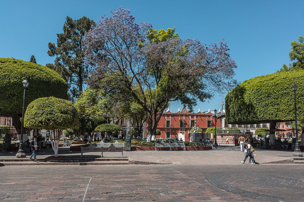 Сантьяго-де-Керетаро, сад Зенея Сантьяго-де-Керетаро, сад Зенея