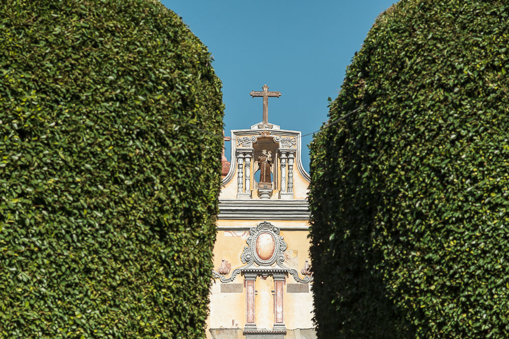 Сантьяго-де-Керетаро, идеальные деревья Сантьяго-де-Керетаро, идеальные деревья