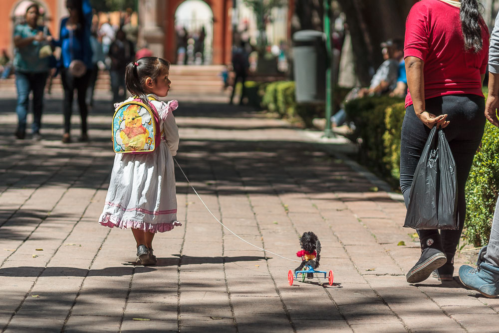 Сантьяго-де-Керетаро, люди Сантьяго-де-Керетаро, люди