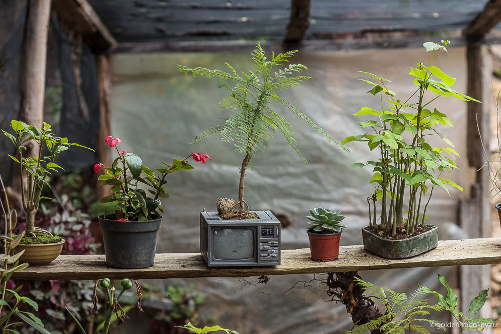 Сан-Кристобаль, культурный центр Сан-Кристобаль, культурный центр