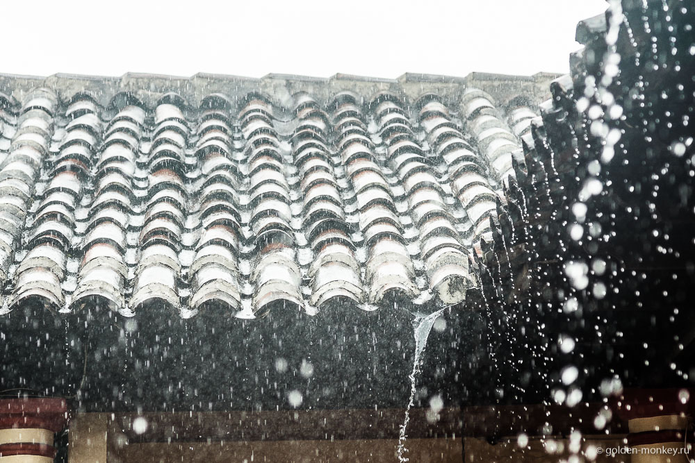 Сан-Кристобаль, дождь Сан-Кристобаль, дождь