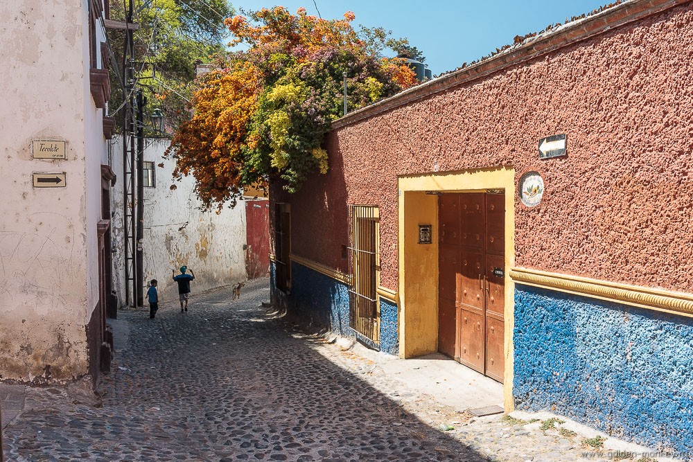 Сан-Мигель-де-Альенде, улочки Сан-Мигель-де-Альенде, улочки