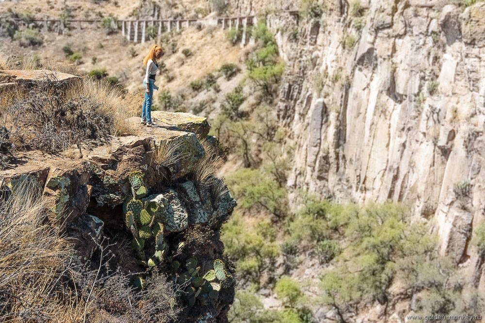 Сан-Мигель-де-Альенде, Ботанический сад Сан-Мигель-де-Альенде, Ботанический сад