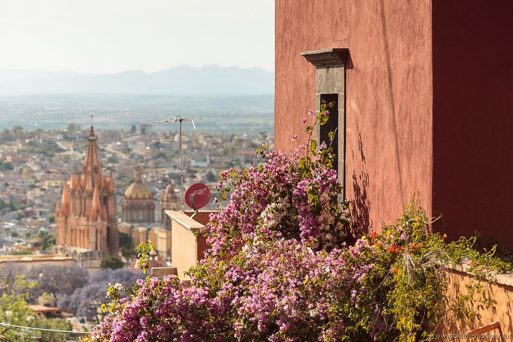 Сан-Мигель-де-Альенде, мелочи Сан-Мигель-де-Альенде, мелочи