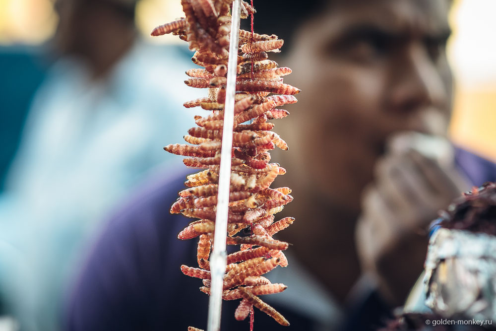 Мексика, сушеные гусеницы Мексика, сушеные гусеницы