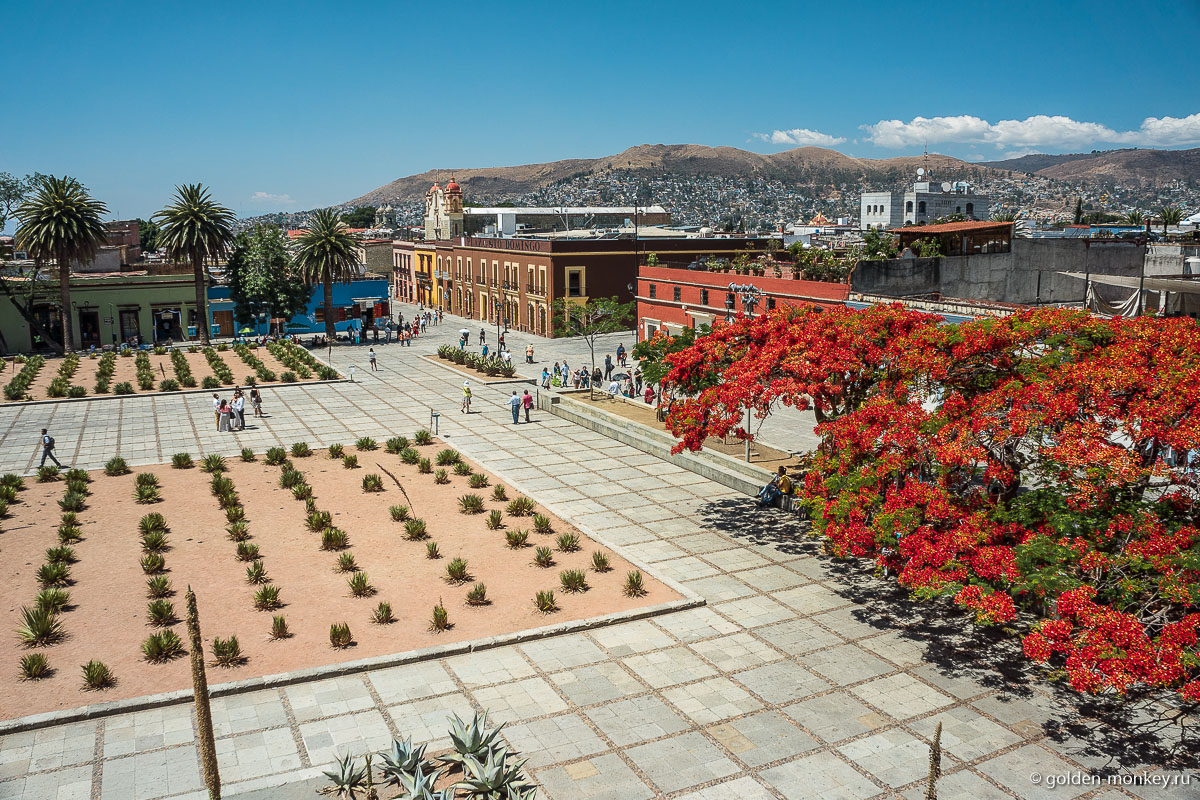 Оахака, площадь Святого Доминго Оахака, площадь Святого Доминго
