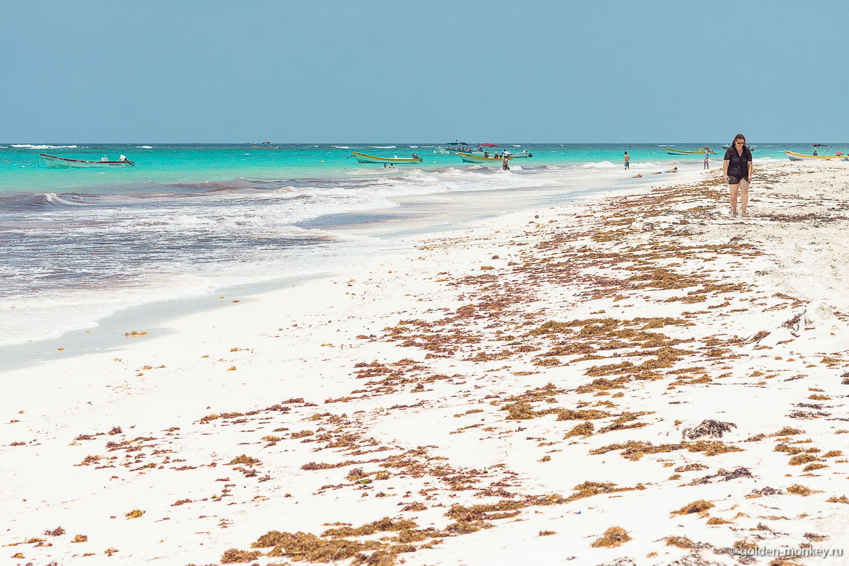 Тулум, пляж Санта-Фе, водоросли на берегу Тулум, пляж Санта-Фе, водоросли на берегу