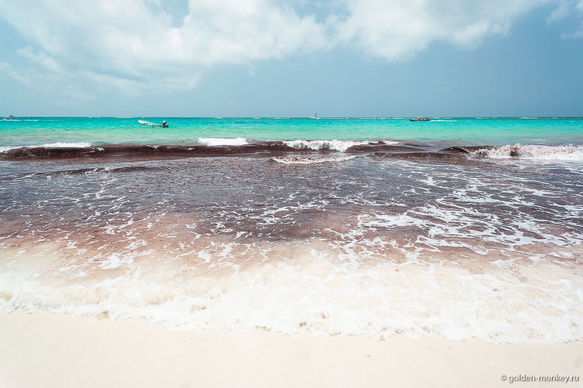 Тулум, пляж Санта-Фе, водоросли в воде Тулум, пляж Санта-Фе, водоросли в воде