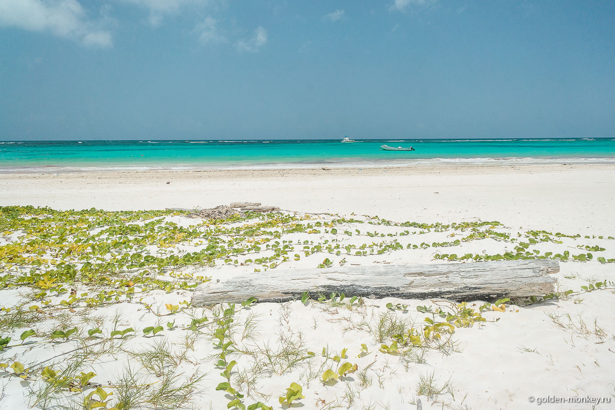 Тулум, побережье Карибского моря Тулум, побережье Карибского моря