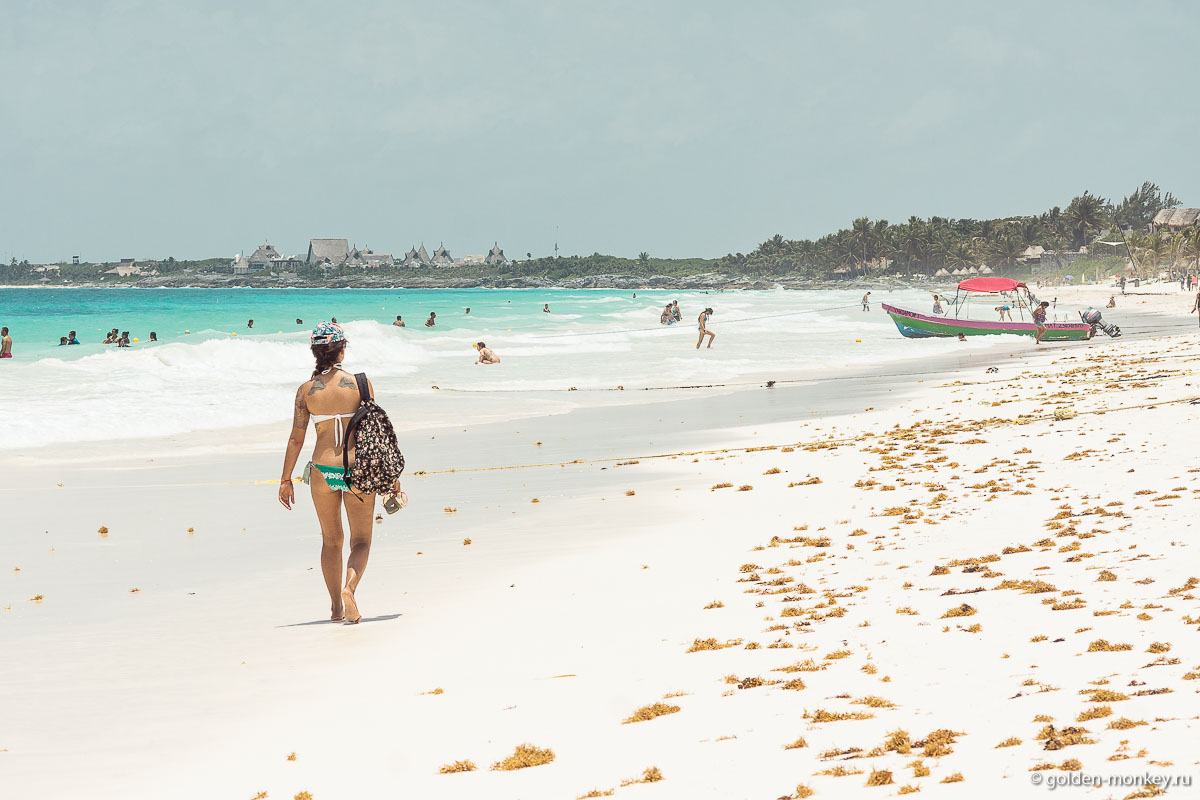 Тулум, на подступах к пляжу Эсперанса Тулум, на подступах к пляжу Эсперанса