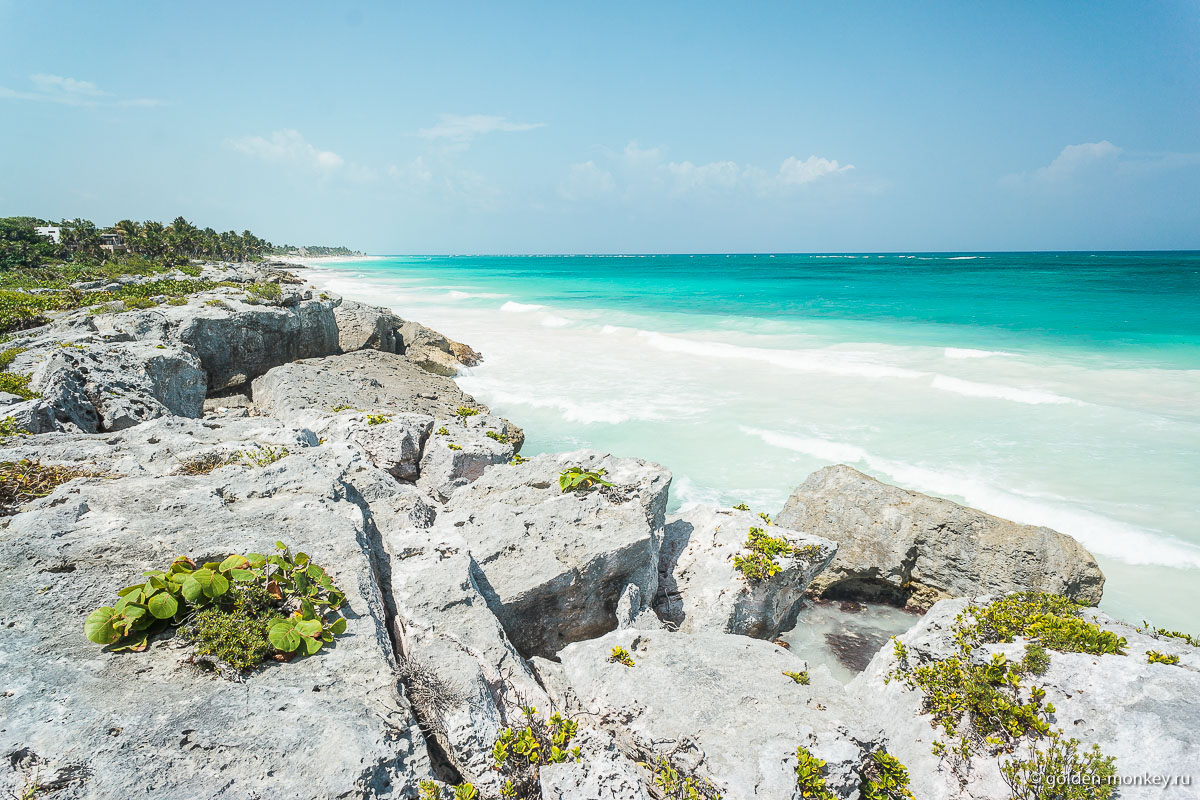 Тулум, побережье за пляжем Параисо Тулум, побережье за пляжем Параисо