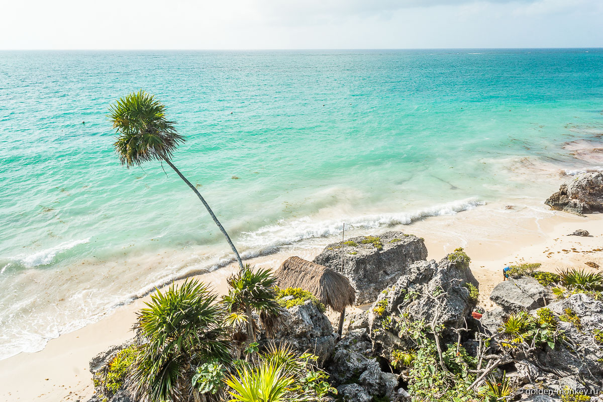 Тулум, одинокая пальма на берегу моря Тулум, одинокая пальма на берегу моря