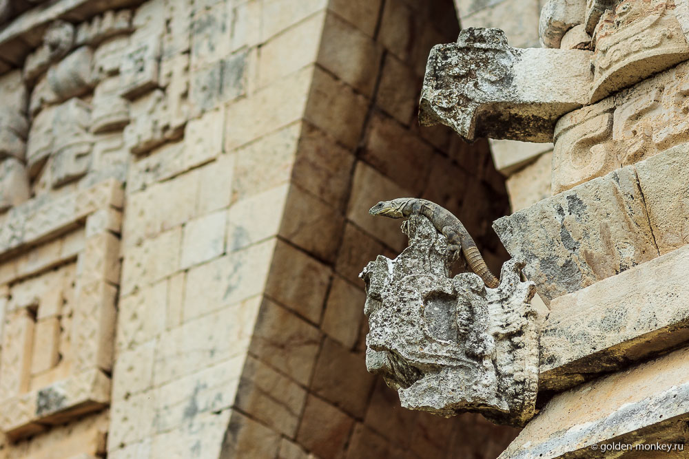 Ушмаль, игуана на декоративном элементе Ушмаль, игуана на декоративном элементе