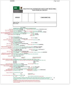 Пример заполнения прошения на получение мексиканской визы