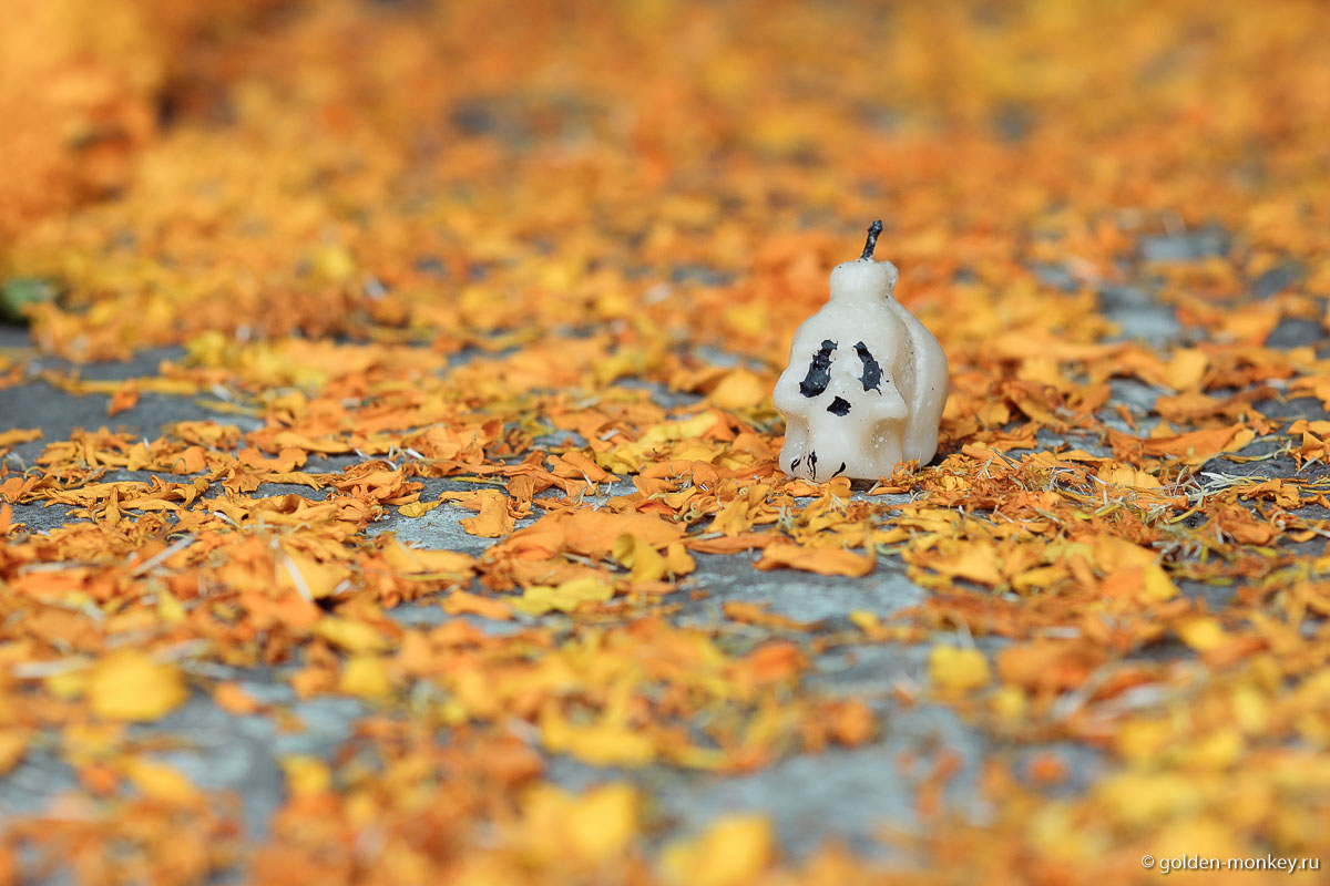 Свечка-череп на оранжевых лепестках Свечка-череп на оранжевых лепестках