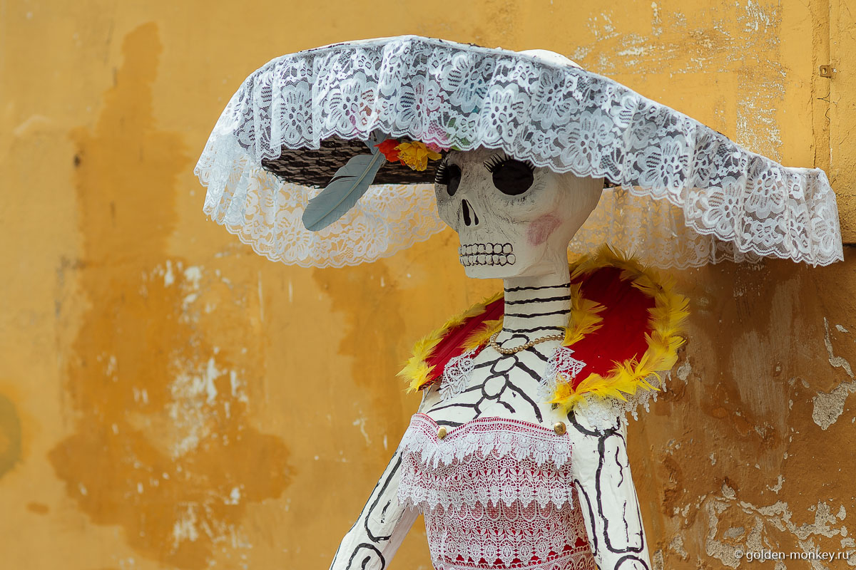 Катрина Катрина