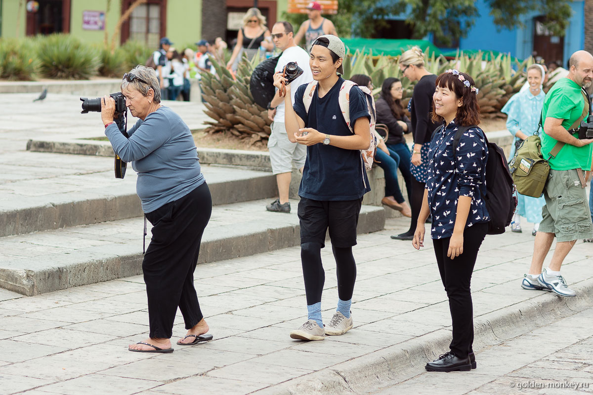 Туристы жадно ловят интересные кадры Туристы жадно ловят интересные кадры
