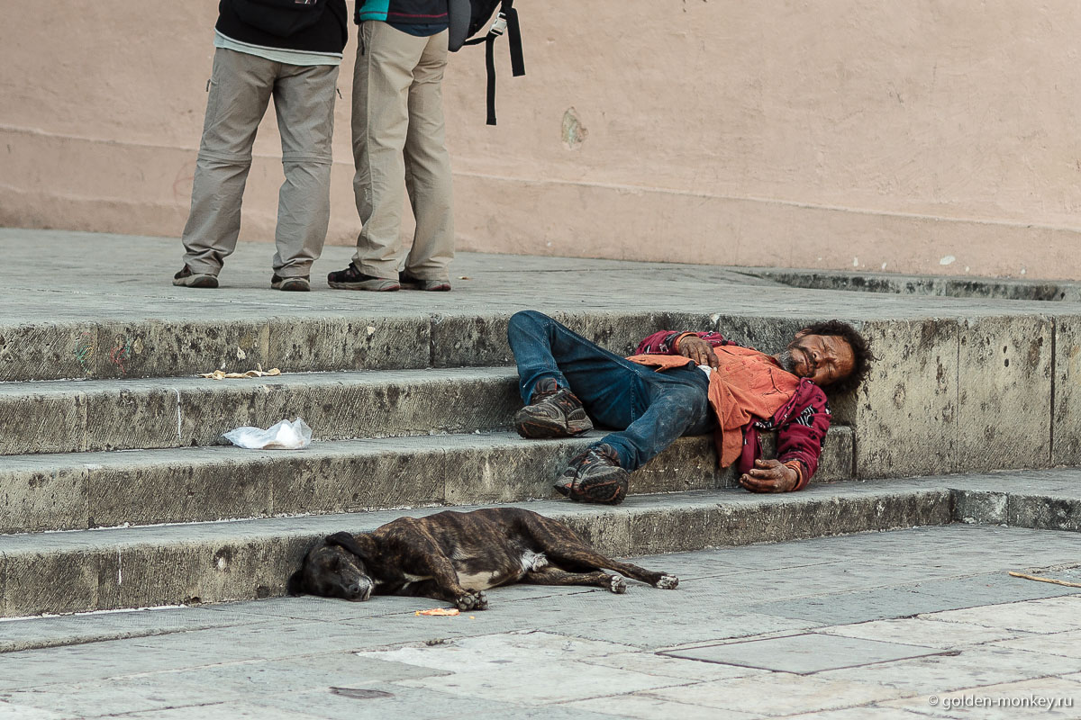 Сонное царство Сонное царство