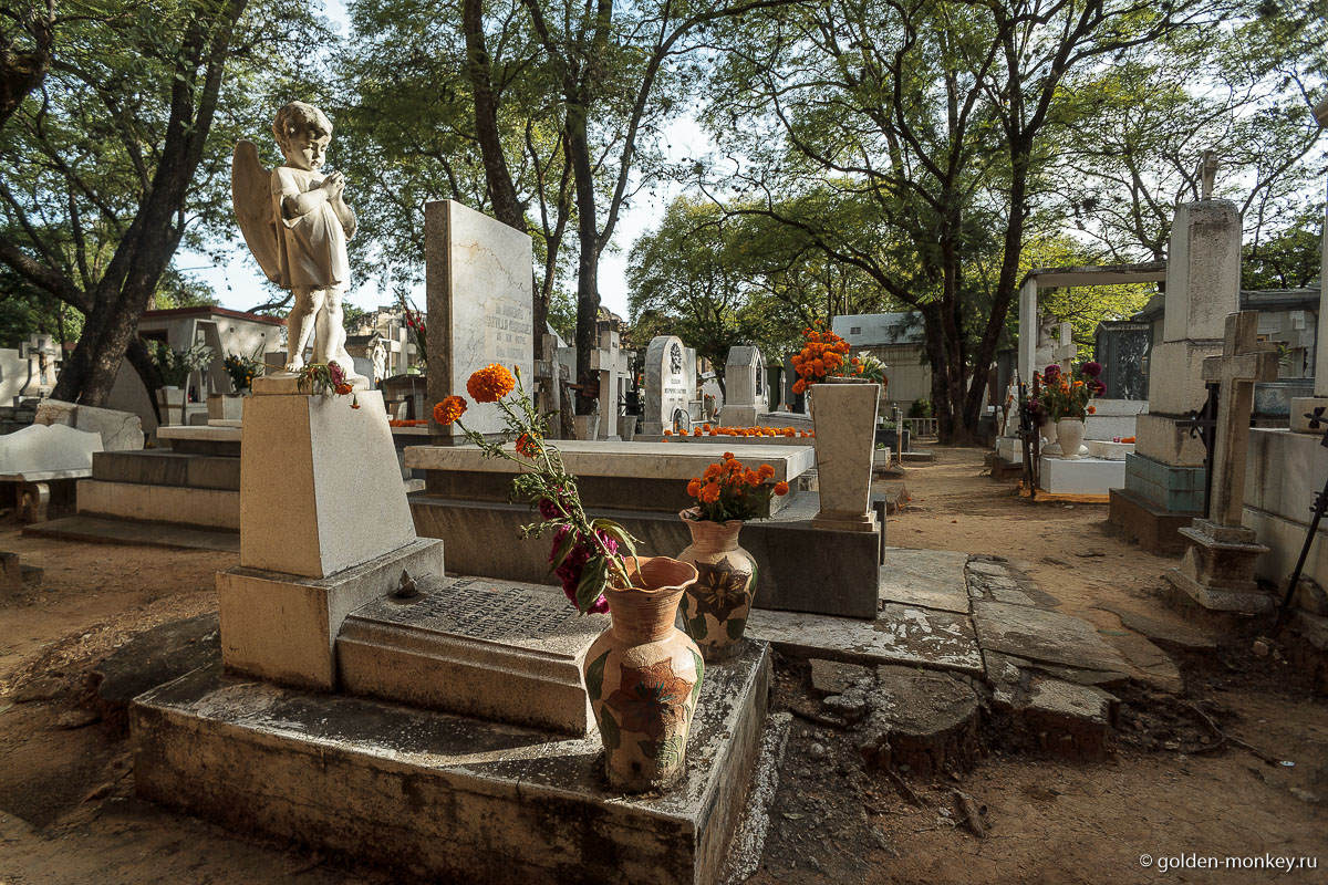 Надгробие на центральном кладбище Надгробие на центральном кладбище