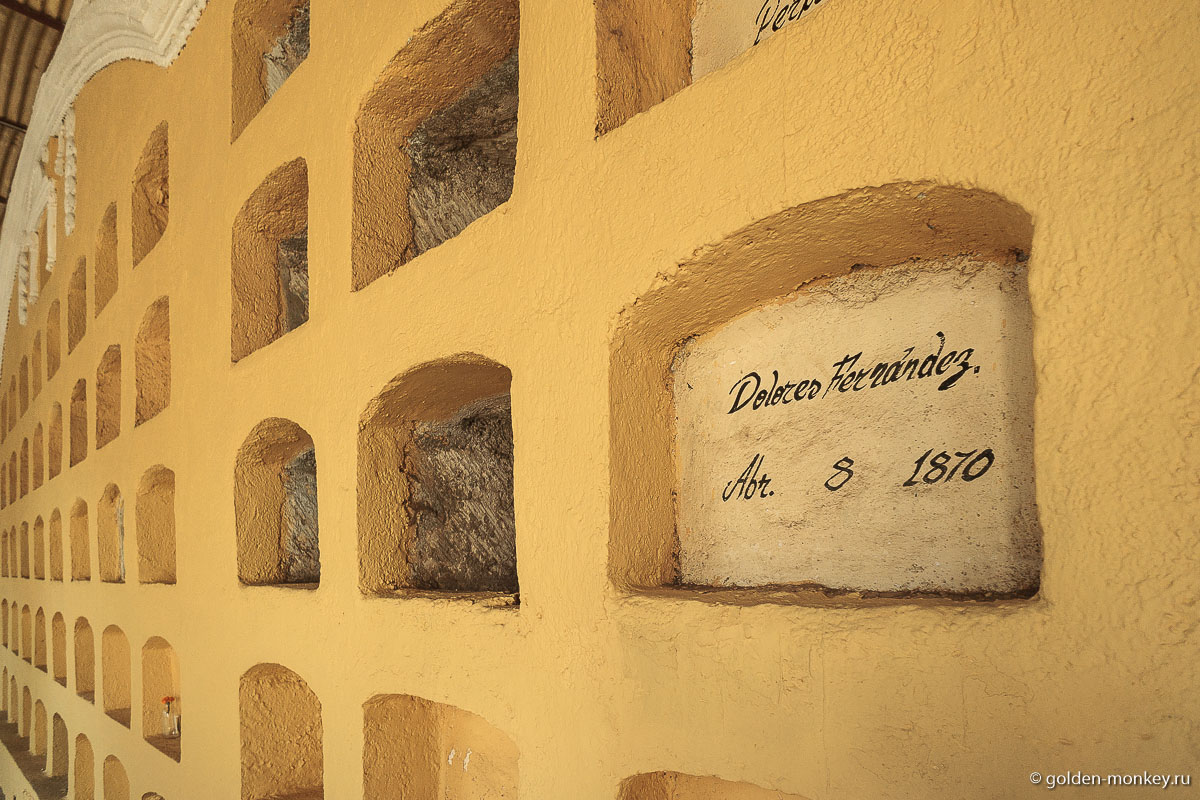 Захоронение девятнадцатого века Захоронение девятнадцатого века