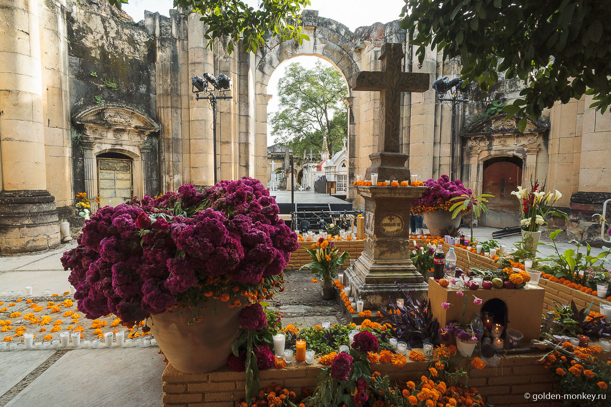 Украшение из цветов Украшение из цветов