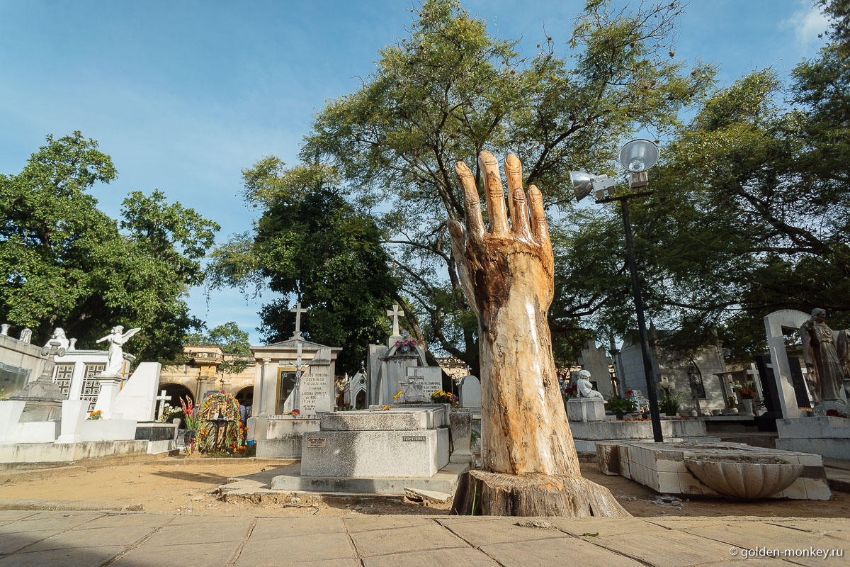 Рука из цельного дерева Рука из цельного дерева