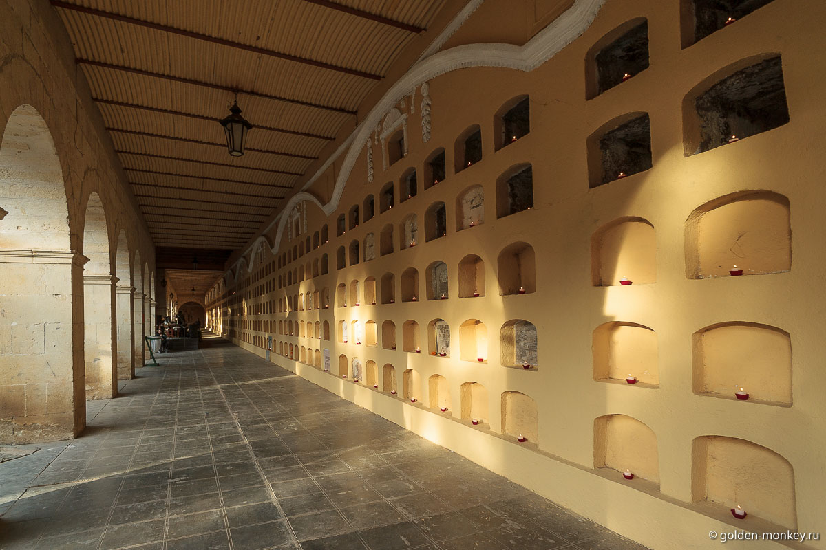 Получается вот такая красота Получается вот такая красота