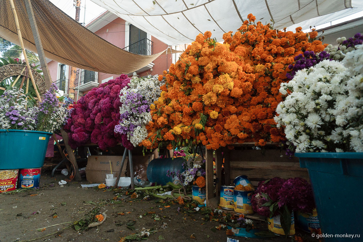 Бархатцы – цветы Мертвых Бархатцы – цветы Мертвых