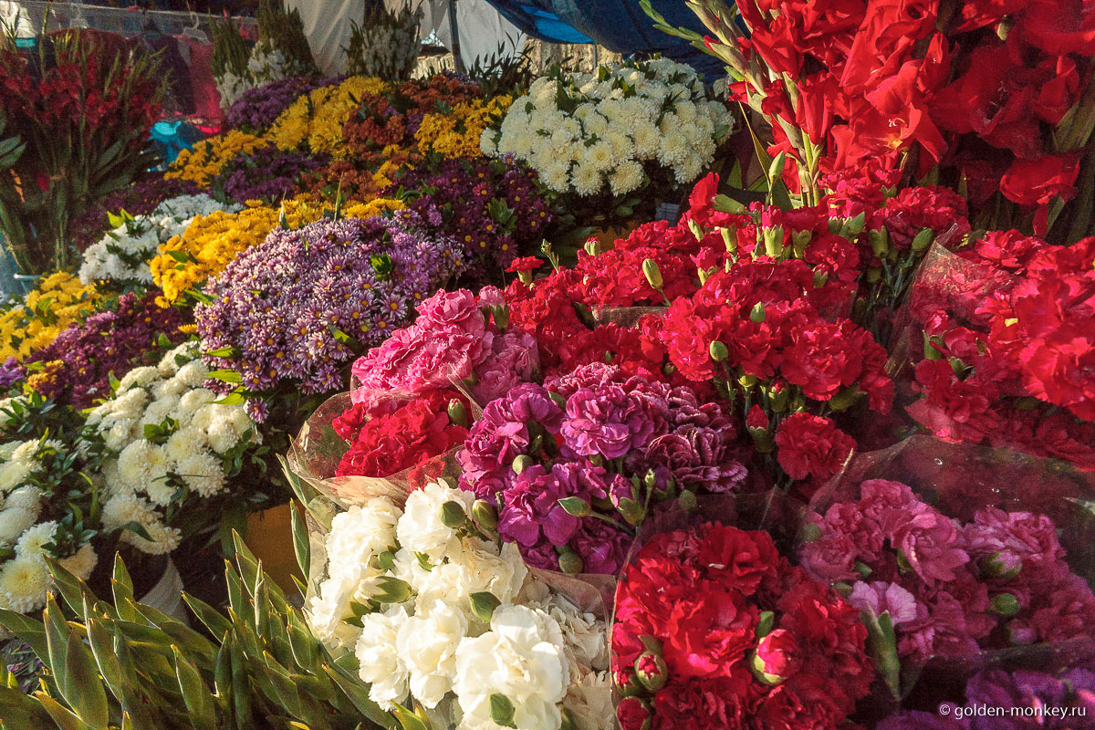 Цветотерапия Цветотерапия