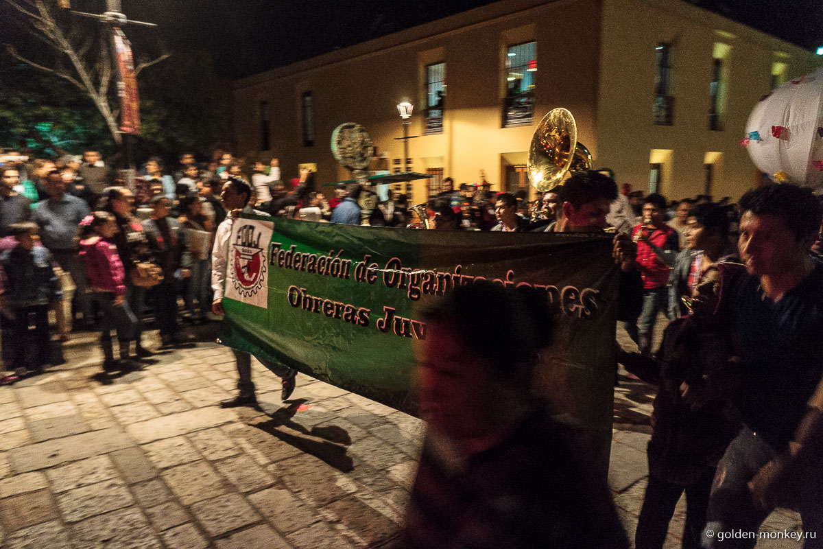 Неугомонное шествие Неугомонное шествие