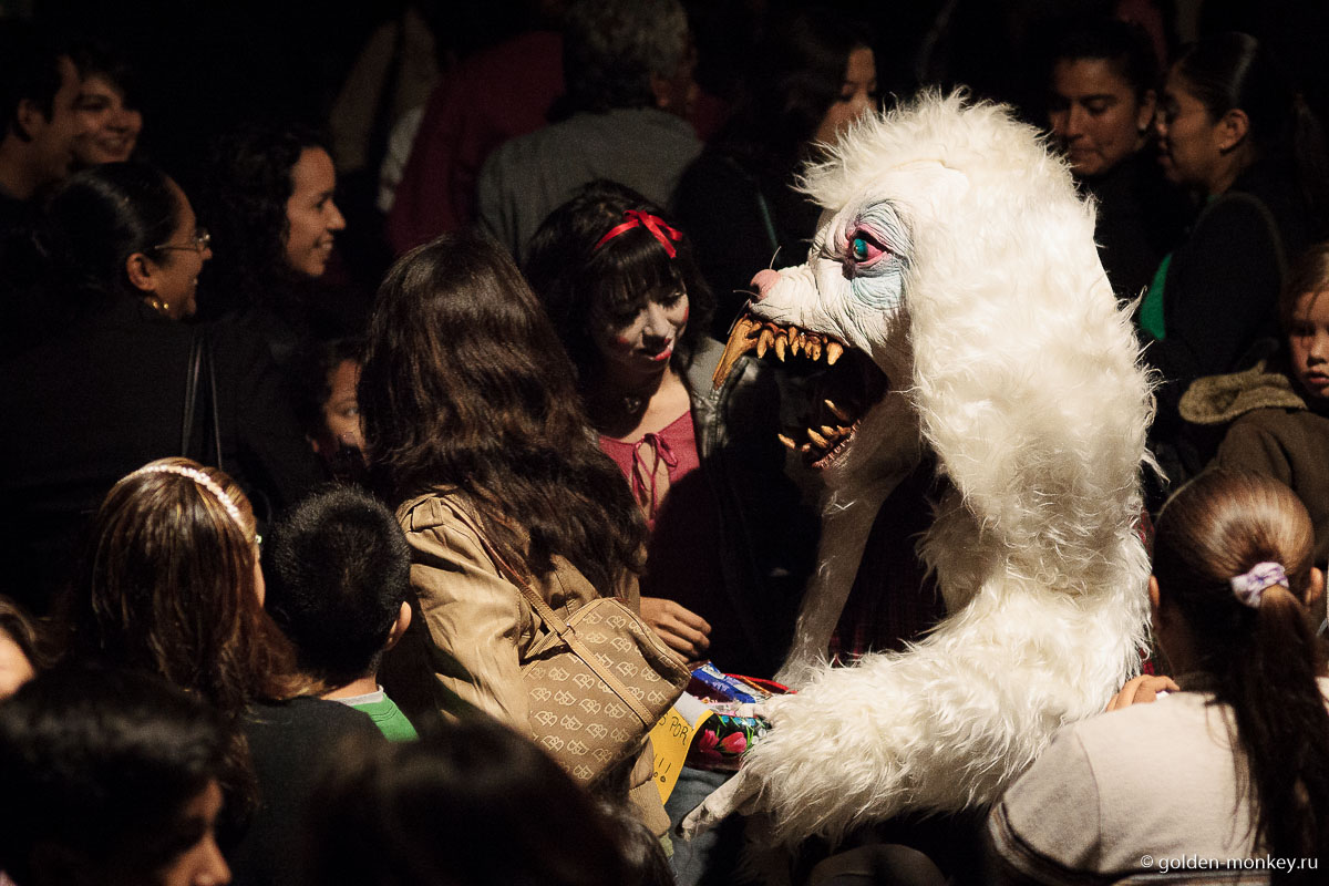 Кролик из кошмарного сна Кролик из кошмарного сна