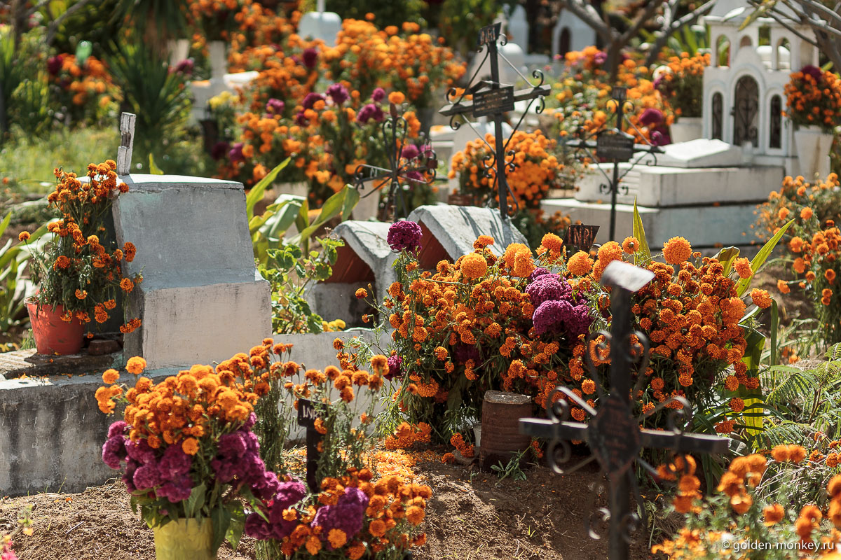 Все буквально утопает в цветах Все буквально утопает в цветах
