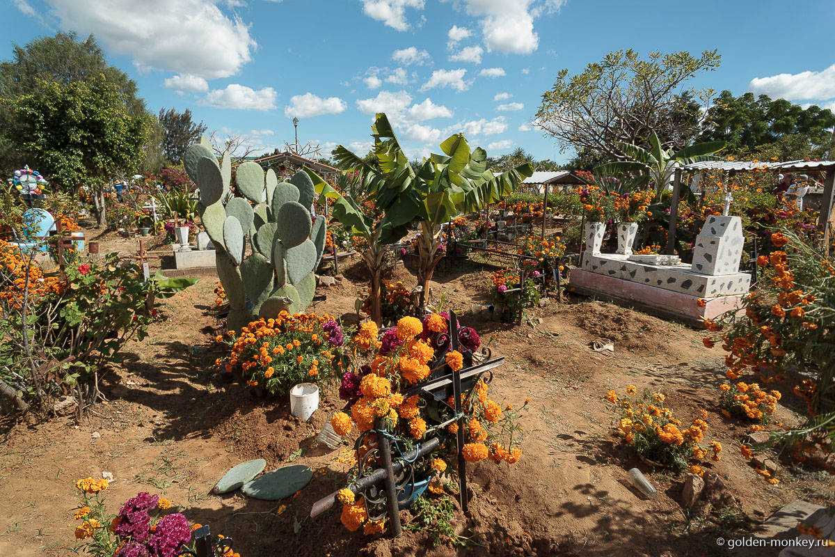 Порой надгробие может заменить кактус Порой надгробие может заменить кактус