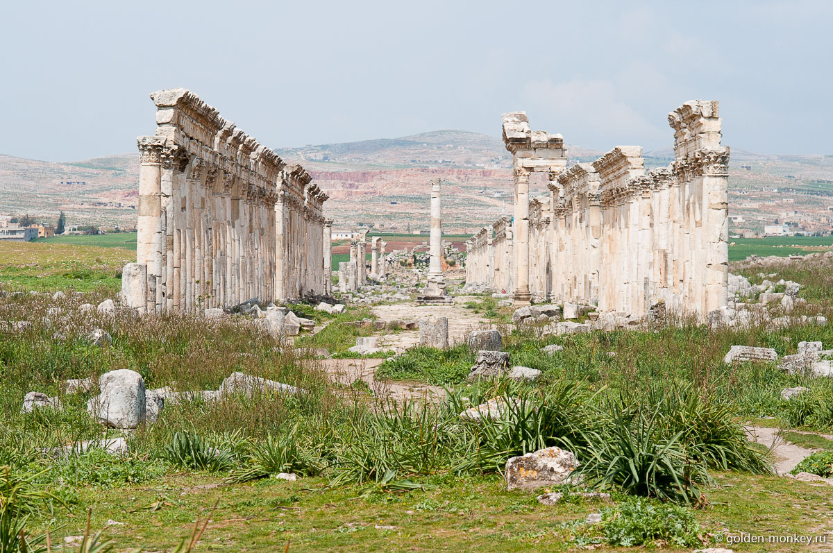 Колоннада в Апамее Колоннада в Апамее